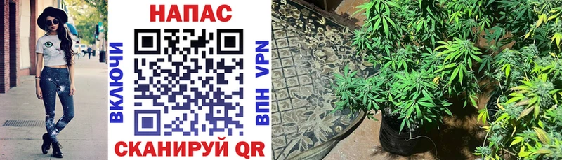 МЕГА вход  дарнет шоп  Киреевск  Канабис Ganja 
